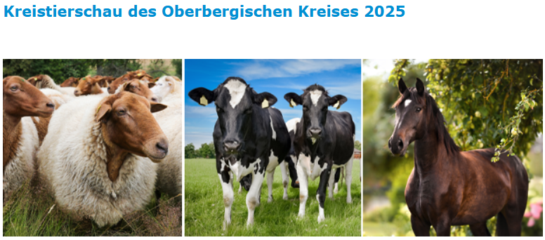 Kreistierschau Hückeswagen